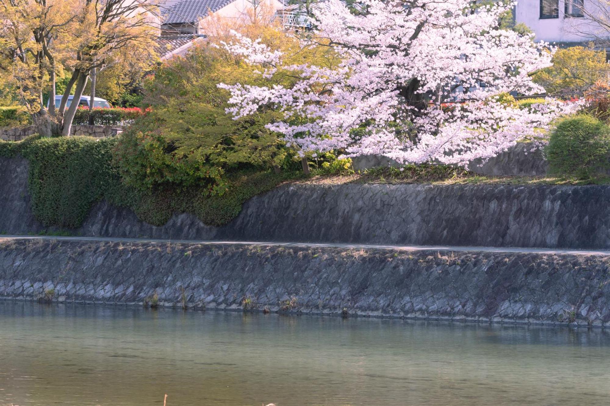 Omo5 Kyoto Sanjo By Hoshino Resorts Exteriör bild