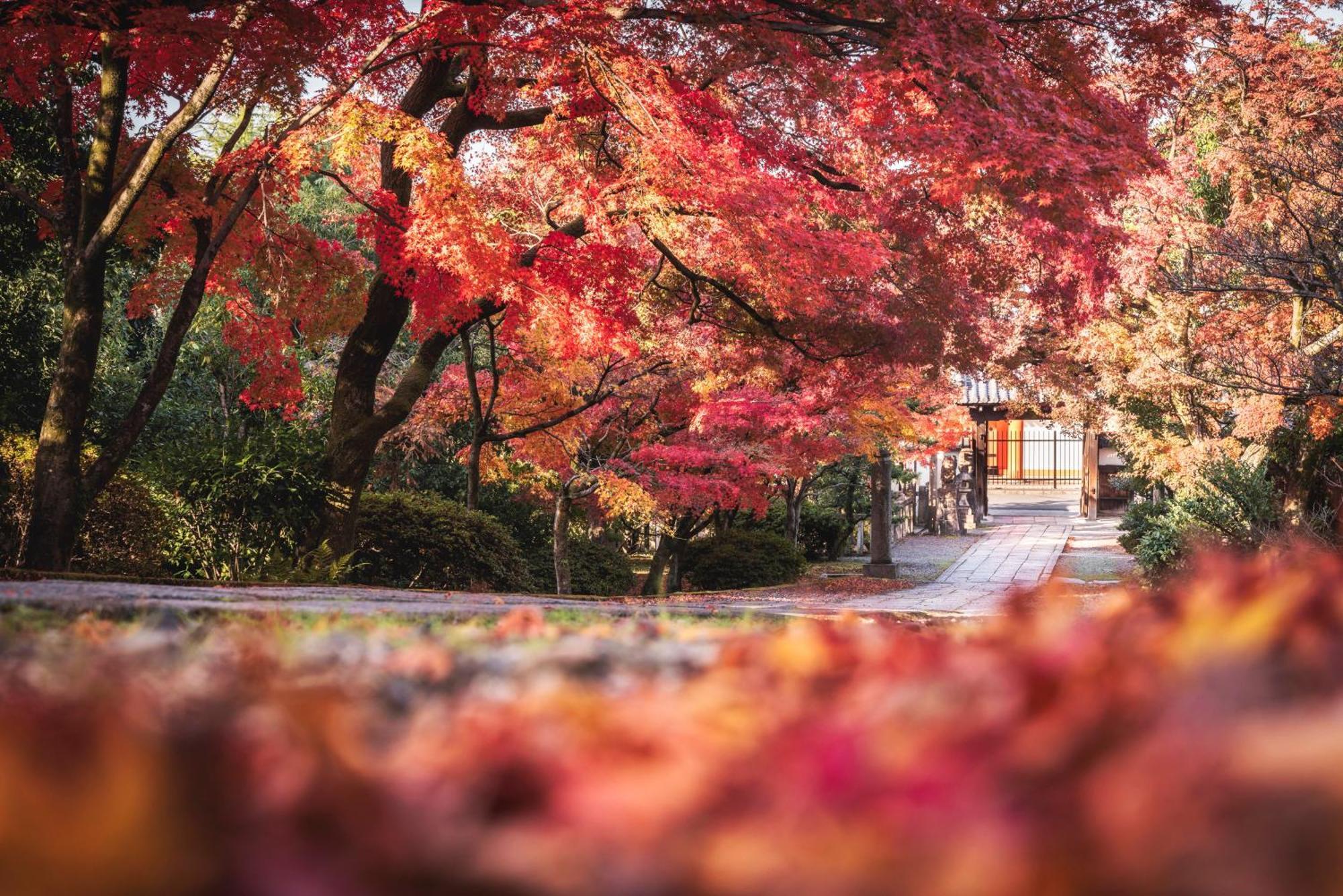 Omo5 Kyoto Sanjo By Hoshino Resorts Exteriör bild
